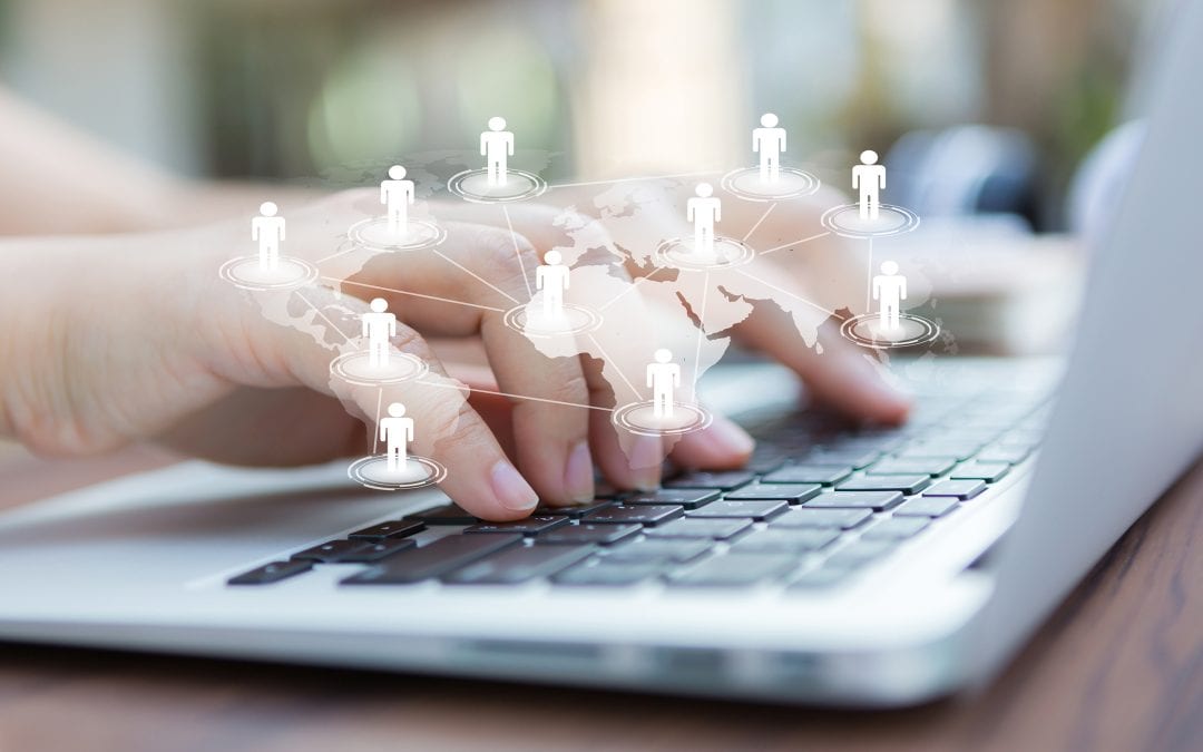 Digital Brand Activations