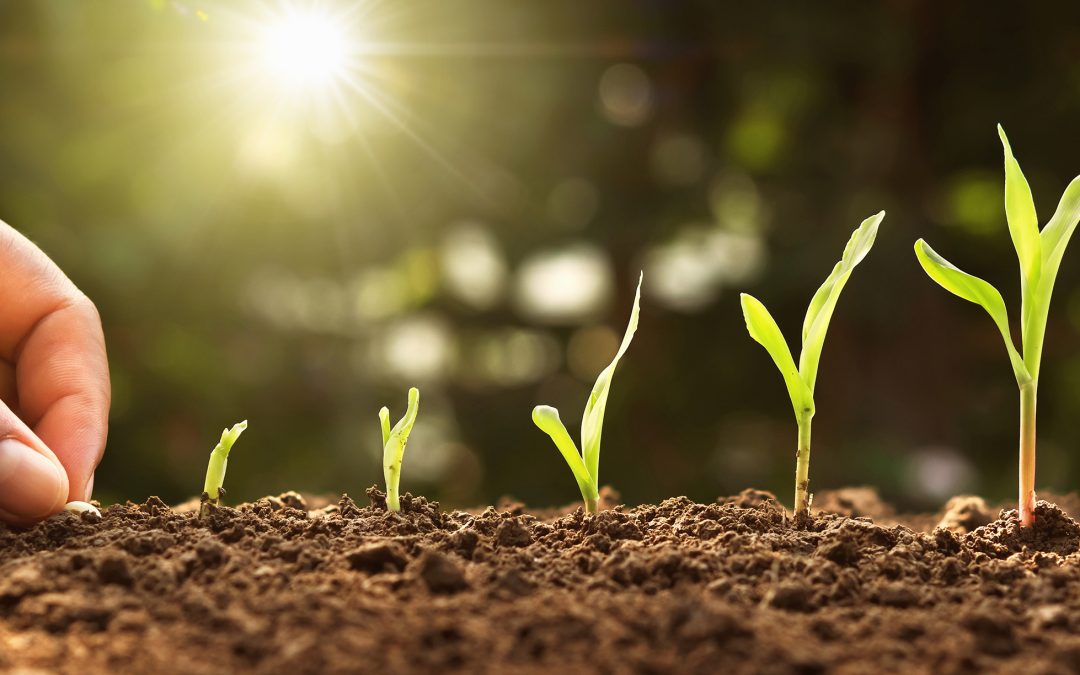 Growing Your Business Step By Step In 2020